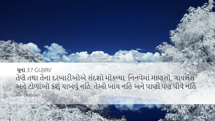 યૂના 3:7 GUJIRV Bible Verse Image