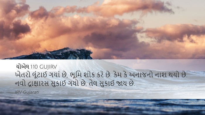 યોએલ 1:10 GUJIRV Bible Verse Image
