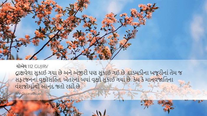 યોએલ 1:12 GUJIRV Bible Verse Image