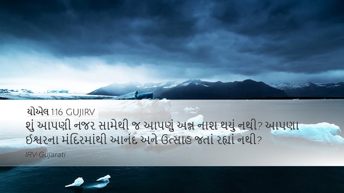યોએલ 1:16 GUJIRV Bible Verse Image