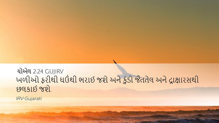 યોએલ 2:24 GUJIRV Desktop Wallpaper - ખળીઓ ફરીથી ઘઉંથી - Desktop Bible Verse Wallpaper