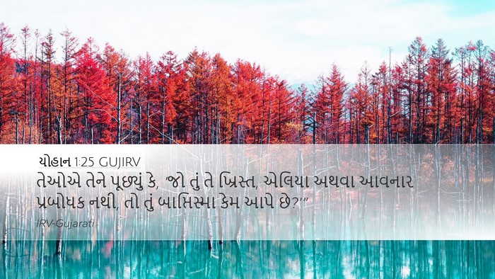 યોહાન 1:25 GUJIRV Bible Verse Image