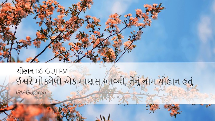 યોહાન 1:6 GUJIRV Bible Verse Image