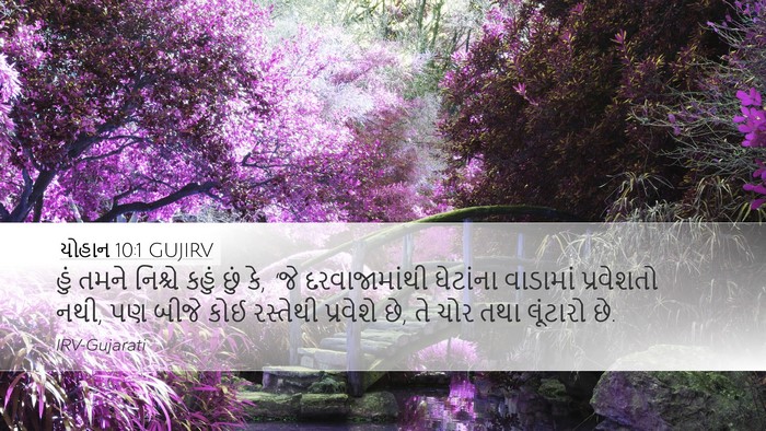 યોહાન 10:1 GUJIRV Bible Verse Image