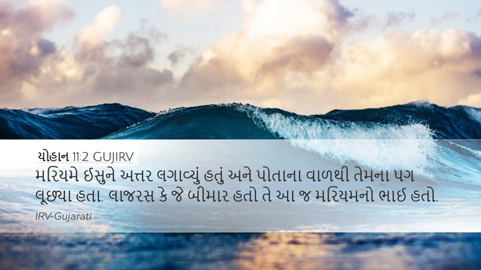 યોહાન 11:2 GUJIRV Bible Verse Image