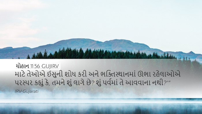 યોહાન 11:56 GUJIRV Bible Verse Image