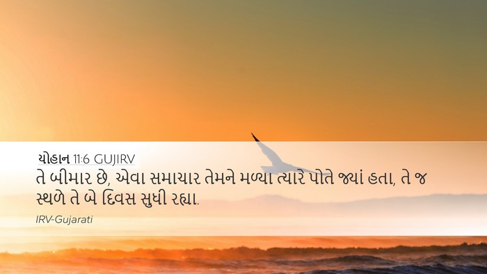 યોહાન 11:6 GUJIRV Bible Verse Image