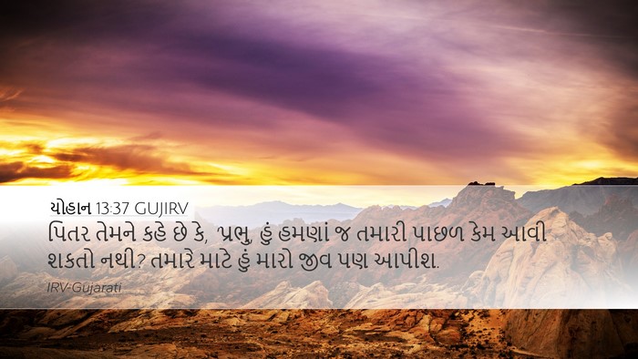 યોહાન 13:37 GUJIRV Bible Verse Image
