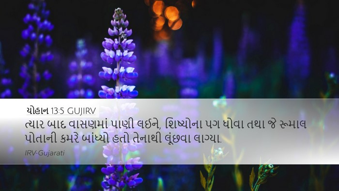 યોહાન 13:5 GUJIRV Bible Verse Image