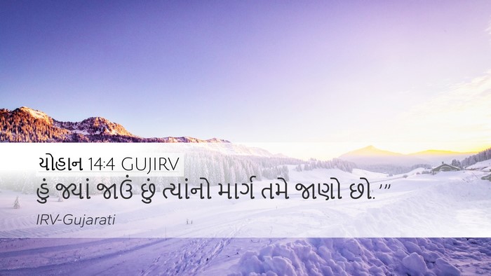 યોહાન 14:4 GUJIRV Bible Verse Image