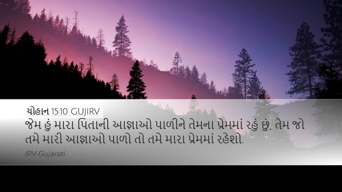 યોહાન 15:10 GUJIRV Bible Verse Image