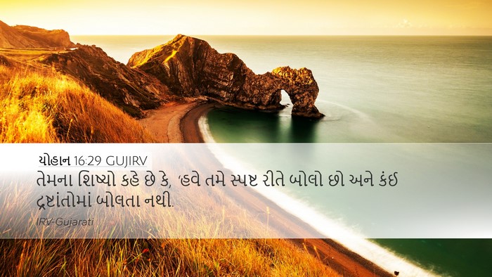 યોહાન 16:29 GUJIRV Bible Verse Image