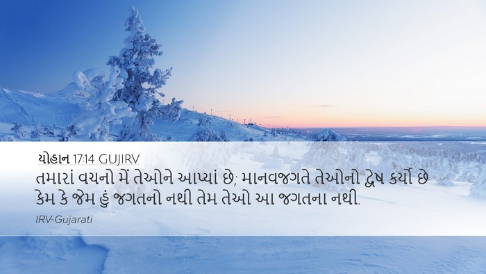 યોહાન 17:14 GUJIRV Bible Verse Image