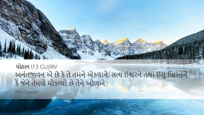 યોહાન 17:3 GUJIRV Bible Verse Image