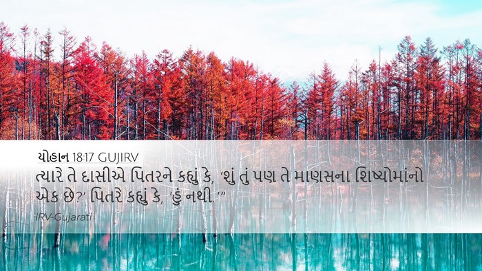 યોહાન 18:17 GUJIRV Bible Verse Image