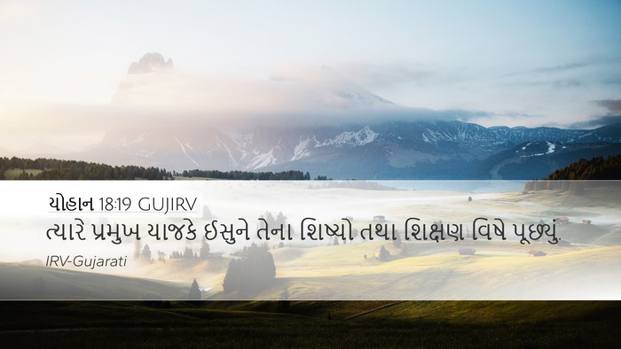 યોહાન 18:19 GUJIRV Bible Verse Image