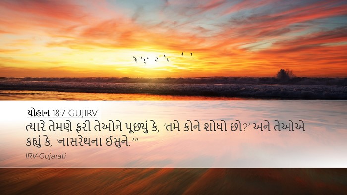 યોહાન 18:7 GUJIRV Bible Verse Image