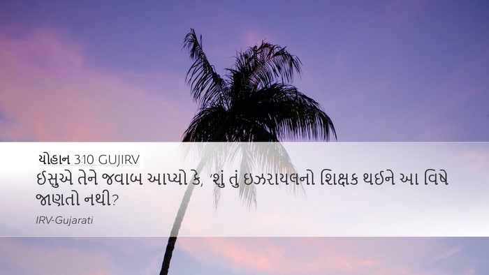યોહાન 3:10 GUJIRV Bible Verse Image