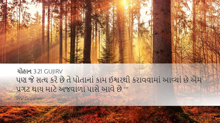 યોહાન 3:21 GUJIRV Bible Verse Image