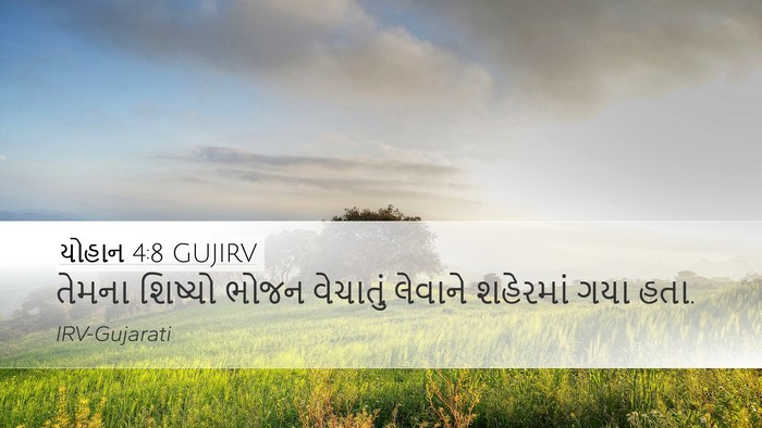 યોહાન 4:8 GUJIRV Bible Verse Image