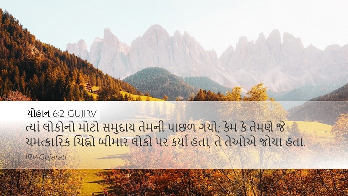 યોહાન 6:2 GUJIRV Bible Verse Image