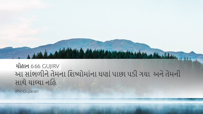 યોહાન 6:66 GUJIRV Bible Verse Image