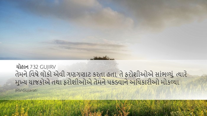 યોહાન 7:32 GUJIRV Bible Verse Image