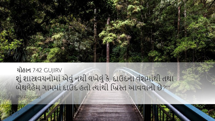 યોહાન 7:42 GUJIRV Bible Verse Image