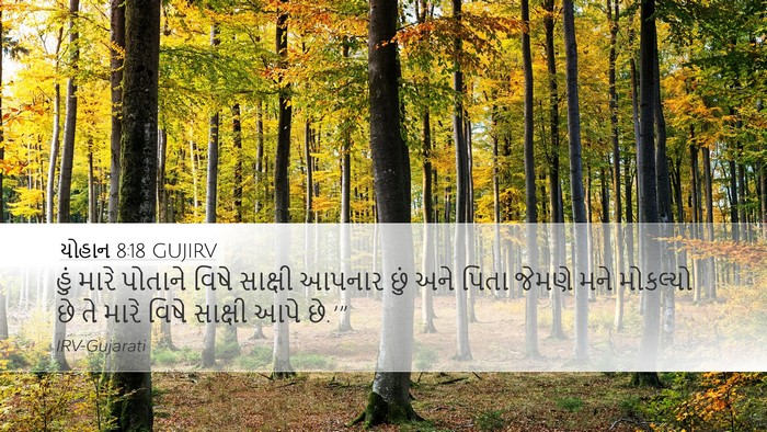 યોહાન 8:18 GUJIRV Desktop Wallpaper - હું મારે પોતાને - Desktop Bible Verse Wallpaper