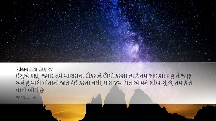 યોહાન 8:28 GUJIRV Bible Verse Image