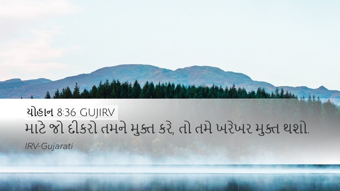 યોહાન 8:36 GUJIRV Bible Verse Image