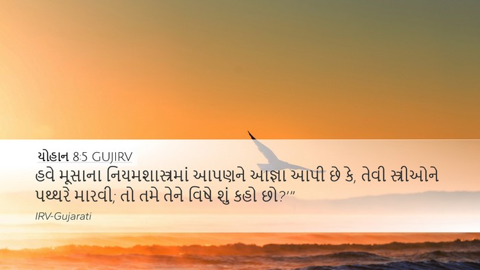 યોહાન 8:5 GUJIRV Bible Verse Image