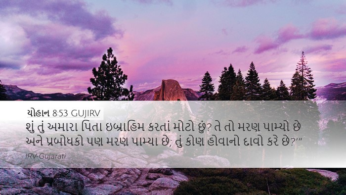 યોહાન 8:53 GUJIRV Bible Verse Image