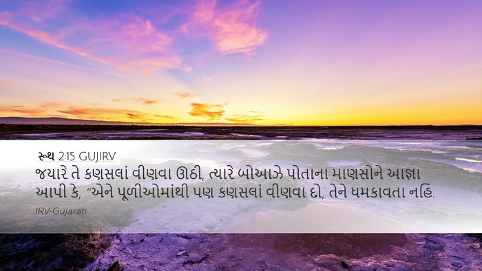 રૂથ 2:15 GUJIRV Desktop Wallpaper - જયારે તે કણસલાં - Desktop Bible Verse Wallpaper
