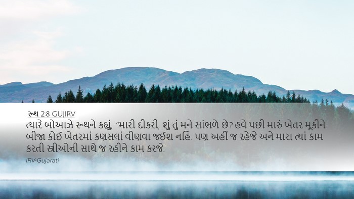 રૂથ 2:8 GUJIRV Bible Verse Image