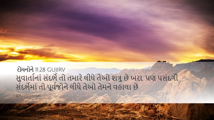 રોમનોને 11:28 GUJIRV Bible Verse Image