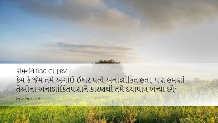 રોમનોને 11:30 GUJIRV Bible Verse Image