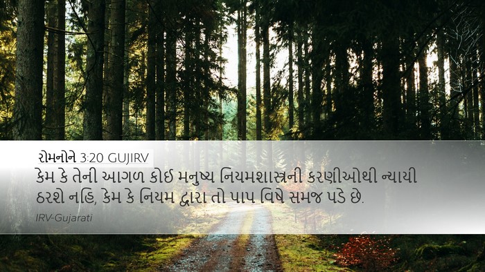 રોમનોને 3:20 GUJIRV Bible Verse Image