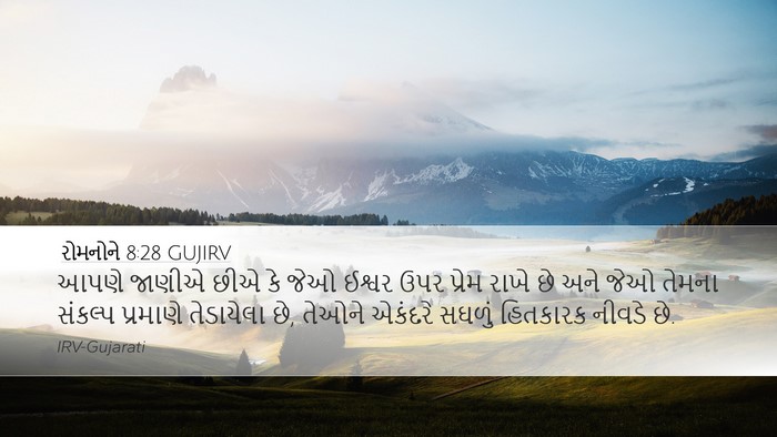 રોમનોને 8:28 GUJIRV Bible Verse Image