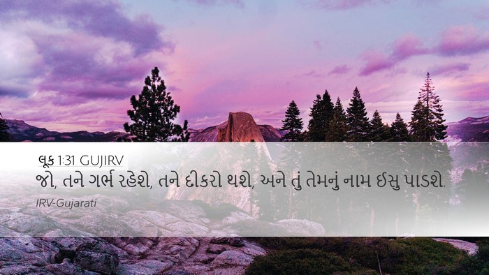લૂક 1:31 GUJIRV Bible Verse Image