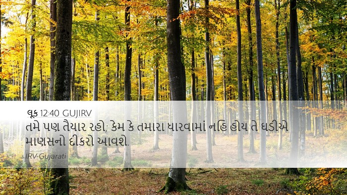 લૂક 12:40 GUJIRV Bible Verse Image