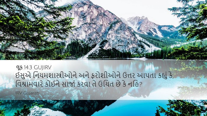 લૂક 14:3 GUJIRV Desktop Wallpaper - ઈસુએ - Desktop Bible Verse Wallpaper