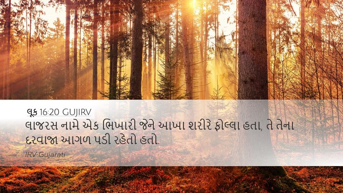 લૂક 16:20 GUJIRV Bible Verse Image