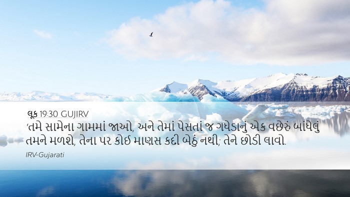લૂક 19:30 GUJIRV Bible Verse Image