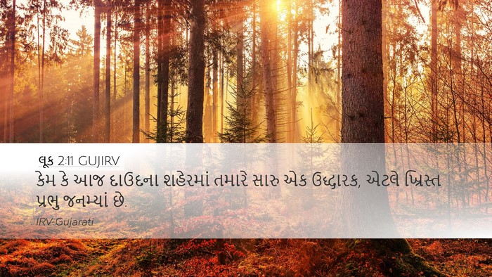 લૂક 2:11 GUJIRV Bible Verse Image