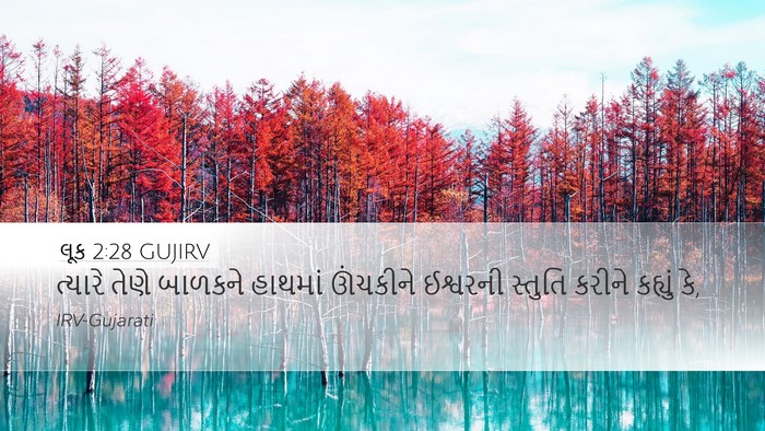 લૂક 2:28 GUJIRV Bible Verse Image