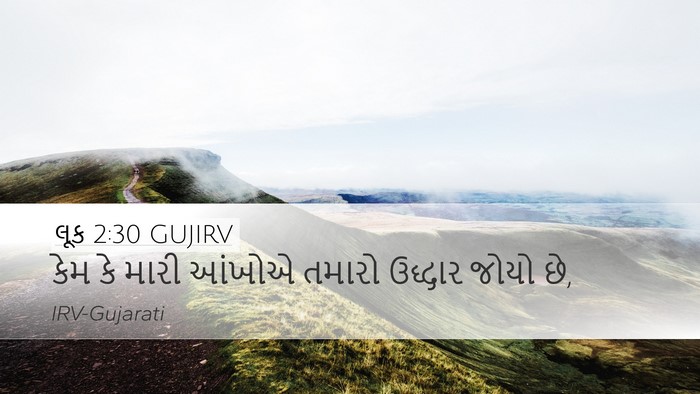 લૂક 2:30 GUJIRV Bible Verse Image