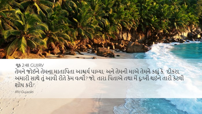 લૂક 2:48 GUJIRV Bible Verse Image