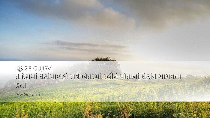 લૂક 2:8 GUJIRV Bible Verse Image