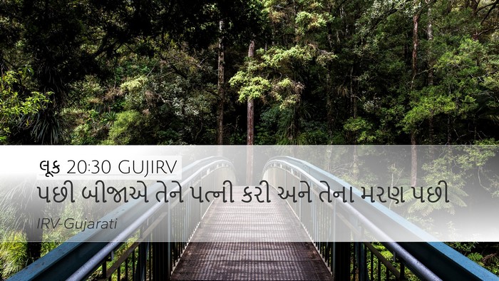 લૂક 20:30 GUJIRV Desktop Wallpaper - પછી બીજાએ તેને - Desktop Bible Verse Wallpaper